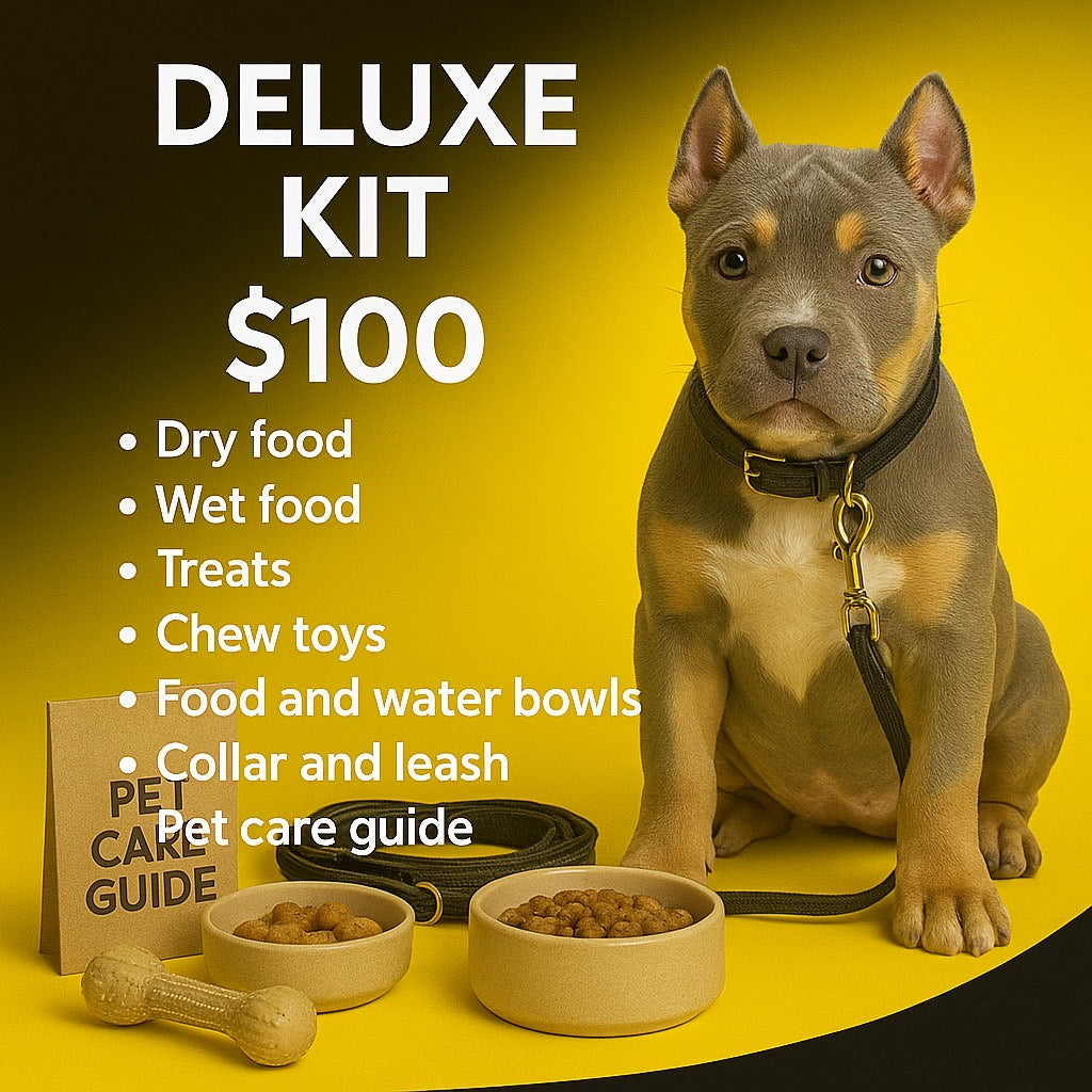 Deluxe kit